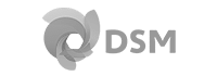 Royal Dsm Opt